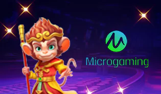 Micro Gaming