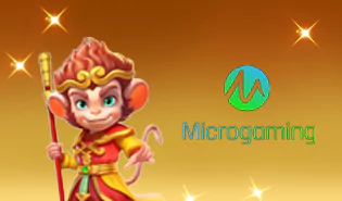Micro Gaming