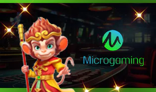 Micro Gaming