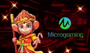 Micro Gaming