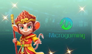 Micro Gaming
