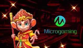 Micro Gaming