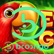 BOONGO